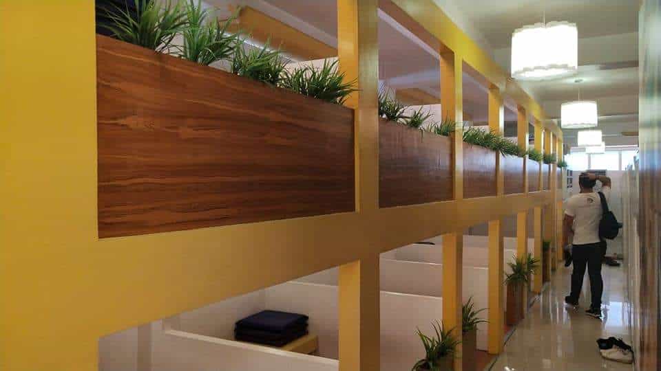 46392840_274110693447877_3261495648008011776_n